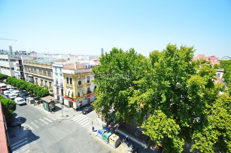 Foto 40566b41-3aaa-497a-9ee6-93a5981d732d. Pis a San Gil Sevilla