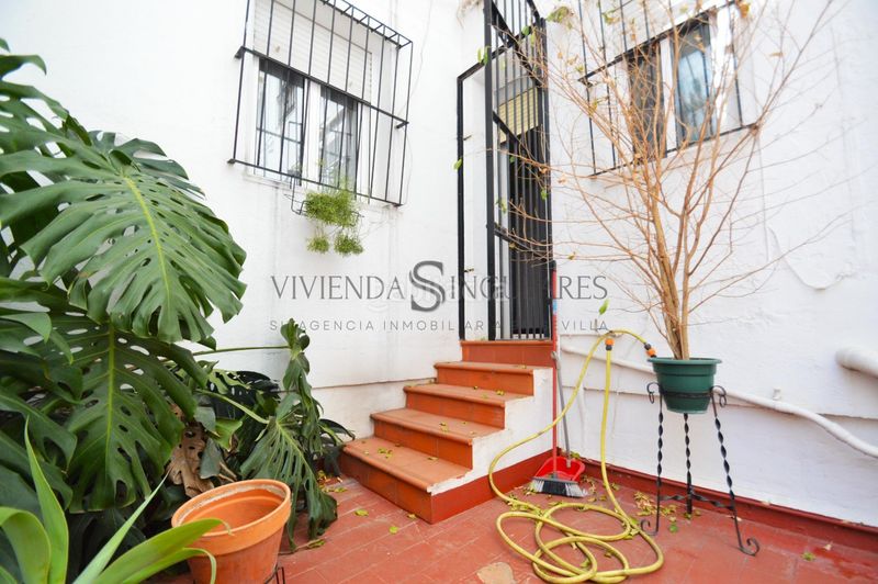 Foto 41d71146-a360-4b7e-8eb4-82a7b2187a52. Pis a San Gil Sevilla
