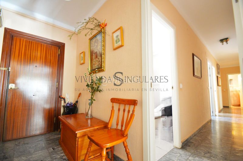 Foto 76b1e1e5-c0fb-453b-8e58-d9478db73253. Pis a San Gil Sevilla