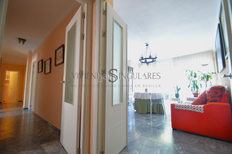 Foto b9a99c92-5124-4f62-bfac-f9a6b3068005. Pis a San Gil Sevilla