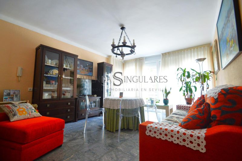 Foto c25c596c-cd65-462d-a254-89dd6e2652e4. Pis a San Gil Sevilla