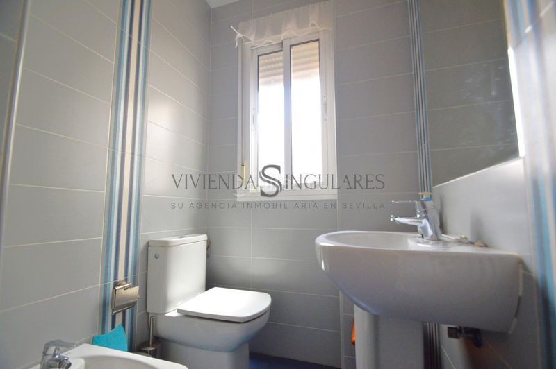 Foto cf3f87a3-8a91-4d9c-98ba-4a47764d0083. Pis a San Gil Sevilla