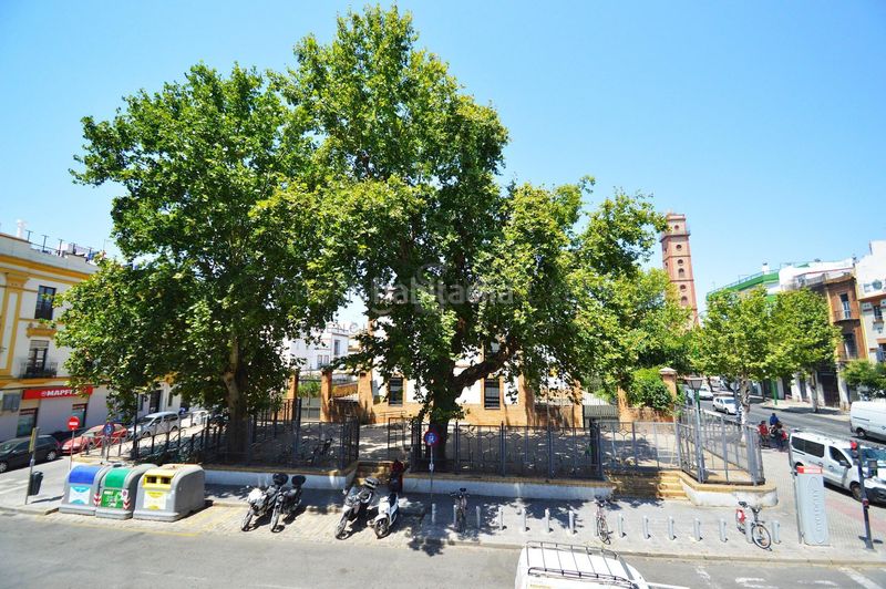 Foto da293a36-4165-44e5-bdcb-75f926da15ae. Pis a San Gil Sevilla