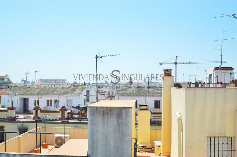 Foto db7dc68e-39b1-4cec-8549-6b3e5fab4af6. Pis a San Gil Sevilla