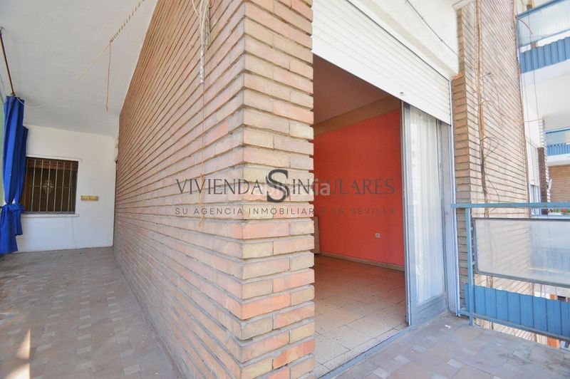 Foto 1d894f7c-1901-4962-b2b9-c4c59907c673. Pis a Los Remedios Sevilla