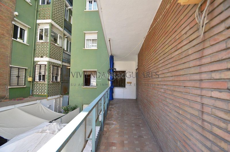 Foto 49d5f57b-0166-4c29-a103-e91f90c65375. Pis a Los Remedios Sevilla