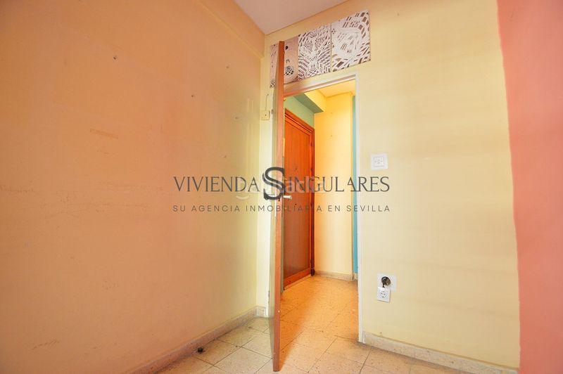 Foto f7a0c6d3-ef40-453b-9c7a-d9aaca25ae76. Pis a Los Remedios Sevilla