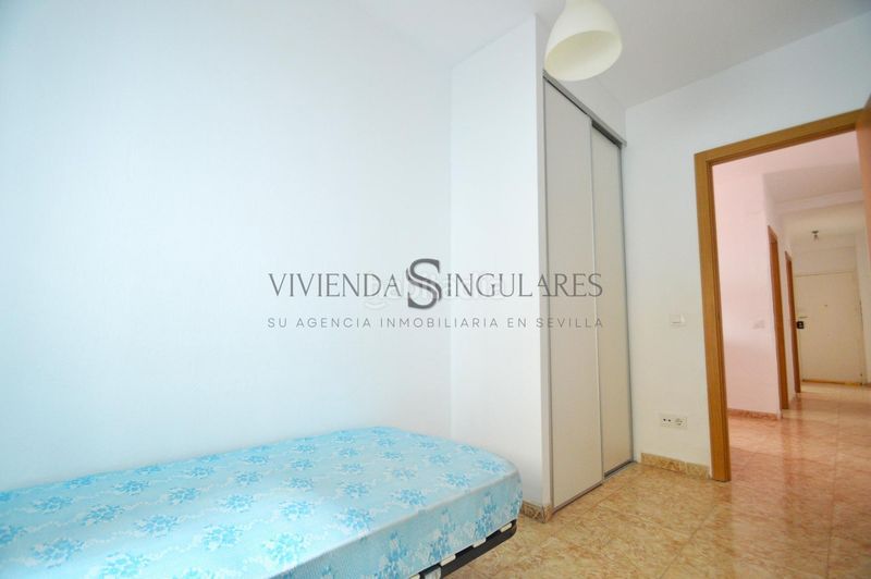 Foto 4c5eb59a-7c78-43da-970f-c7efc252332f. Pis a San Carlos - San José Sevilla