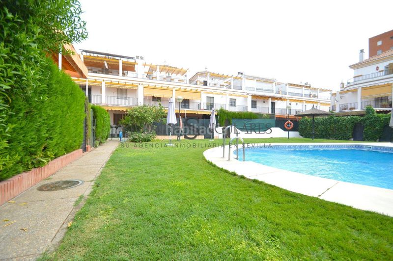 Foto 35272ad1-ed42-4e39-be9b-9ced0e7d9a3e. Casa aparellada amb aparcament piscina a Santa Clara Sevilla
