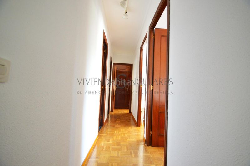Foto 1eba3112-ddf7-4c65-aca2-0c49fcaf7484. Rent flat in Cruz Roja Sevilla