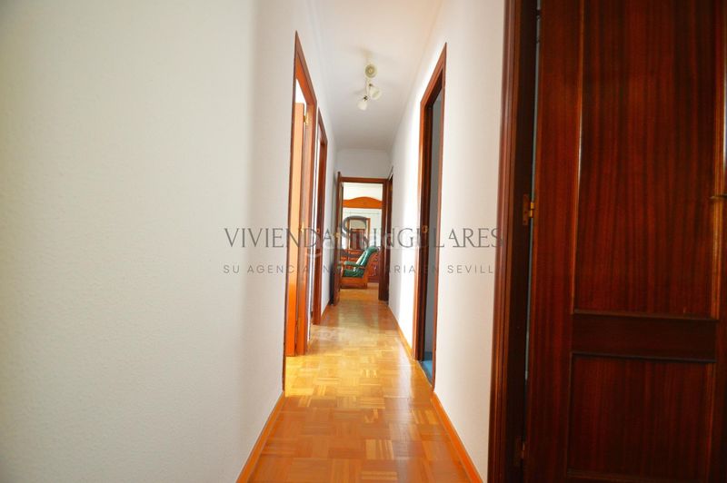 Foto 5895266b-7ffc-41ba-a171-1b0cea1d439a. Rent flat in Cruz Roja Sevilla