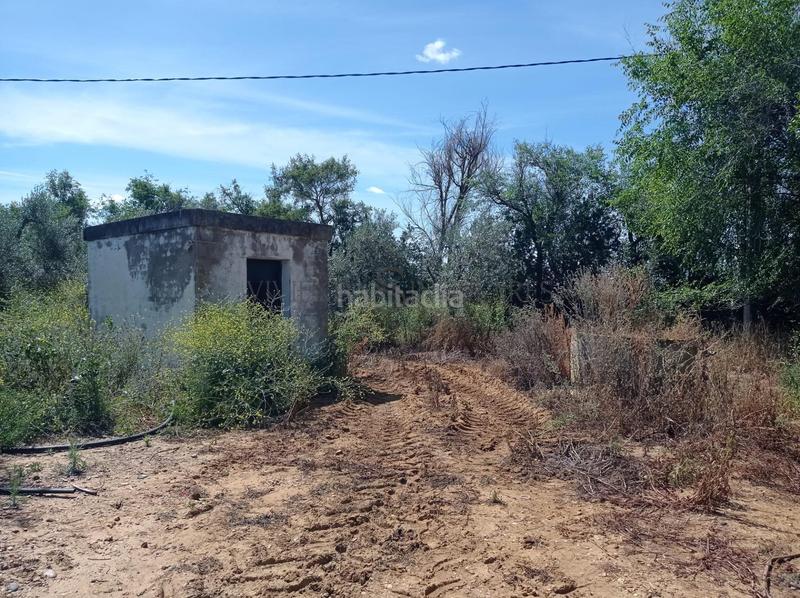 Foto 3722b03c-0f61-4775-af28-cb290b6e412e. Fondo rustico in La Paz Alcalá de Guadaira