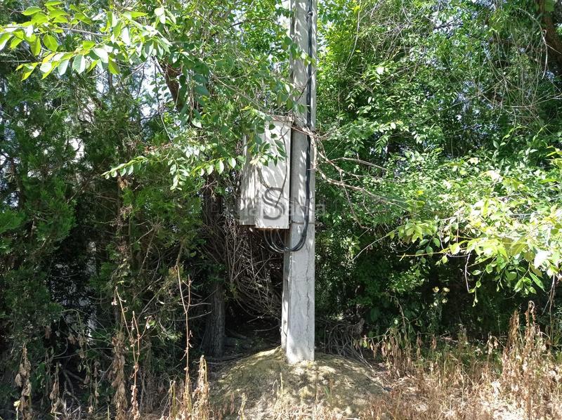 Foto ee72e963-00d6-47ae-9f18-7144479e612b. Fondo rustico in La Paz Alcalá de Guadaira