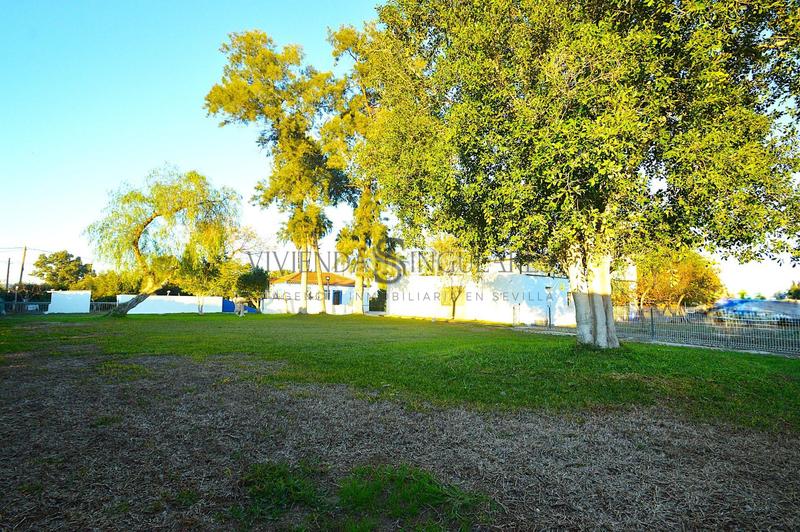 Foto 3bbfe971-a555-4891-a999-d36c3978e88e. Xalet amb aparcament piscina a Carmona