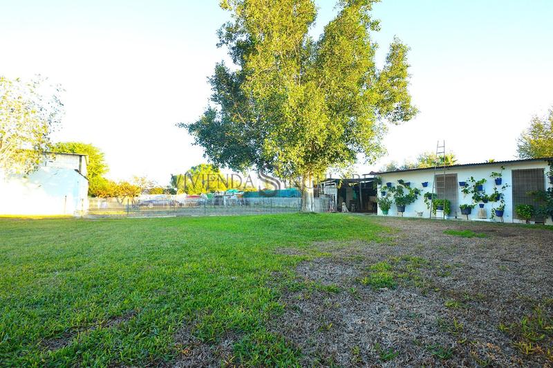 Foto 6691c084-1a5e-4249-a2d7-27210e795dc6. Xalet amb aparcament piscina a Carmona