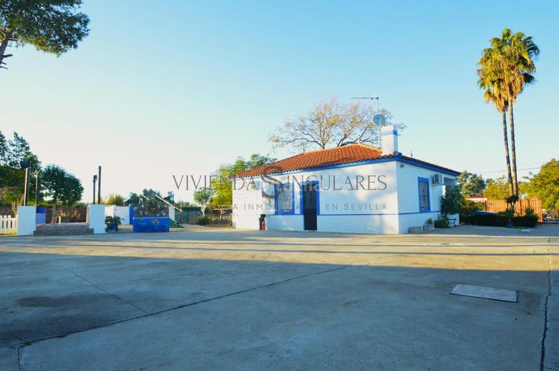 Foto ec8dee7e-0523-4ec8-81ad-44ca22631be4. Xalet amb aparcament piscina a Carmona