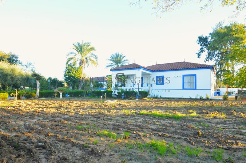 Foto f0aeb06c-5be6-4af0-8da4-7a4eda905ff2. Xalet amb aparcament piscina a Carmona