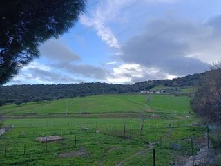 Rural plot in A-8175 17. Se vende parcela en almadén de la plata