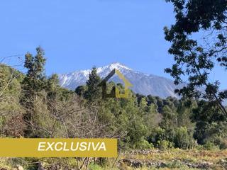 Finca rstica  La florida 1. Terreno rustico con casa   la florida icod de los vinos  10600m2
