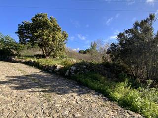 Finca rústica a La florida 1. Terreno rustico con casa   la florida icod de los vinos  10600m2