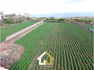 Finca rústica a Camino cueva del rey 12. Casa con finca de uso residencial  8634m2
