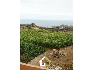 Finca rústica en Camino cueva del rey 12. Casa con finca de uso residencial  8634m2