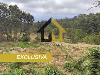 Finca rstica  La florida. Terreno rustico   la florida icod de los vinos  7000m2