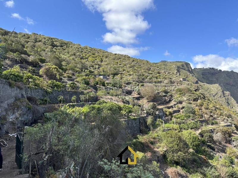Foto 0bfd7979-8321-45f8-a23f-4b9c1c10111c. Finca rústica finca en cultivo con casa 18000m2 en Tanque (El)