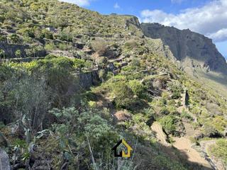 Finca rústica  Tf - 421 garachico. Finca en cultivo con casa  18000m2