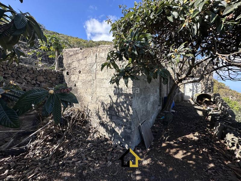 Foto fa98d056-a2c6-4843-a79f-17216dc73191. Finca rústica finca en cultivo con casa 18000m2 en Tanque (El)