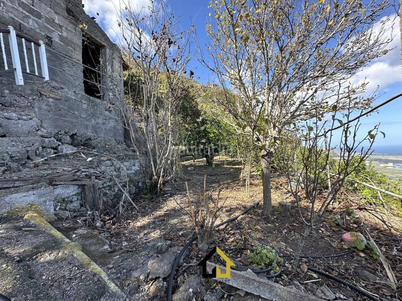 Foto fdbb340a-4388-4228-b99d-6562a2472b38. Finca rústica finca en cultivo con casa 18000m2 en Tanque (El)