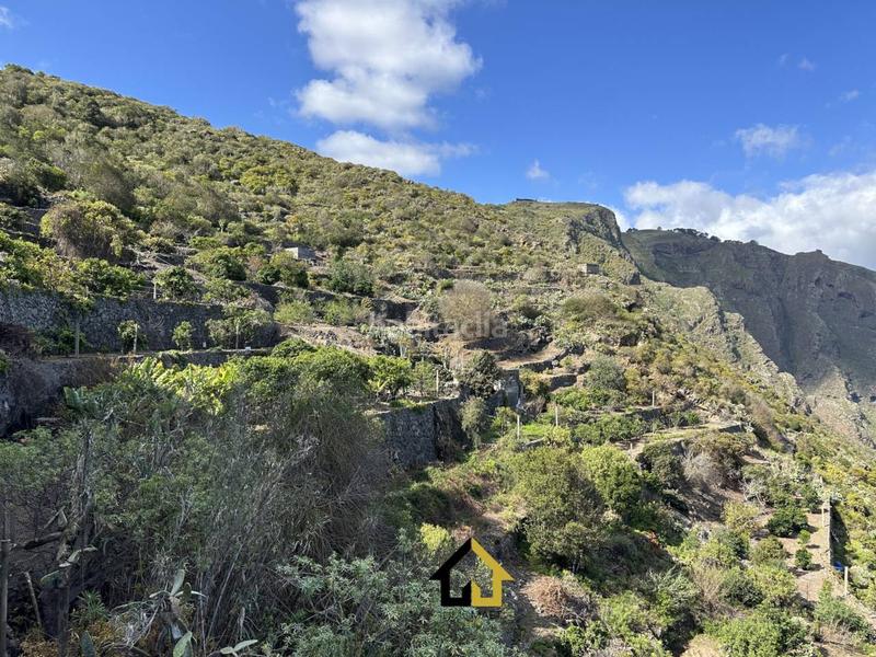Foto ffb0c043-dc65-46ce-9f23-e6e6a0bb1e9a. Finca rústica finca en cultivo con casa 18000m2 en Tanque (El)