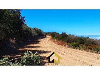 Finca rústica en Silos (Los). Terreno rústico  1927m2 erjos  los silos Finca rústica en Silos (Los). Terreno rústico  1927m2 erjos  los silos
