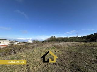 Finca rústica  Don antonio dorta curbelo 10. Terreno en venta en el tanque