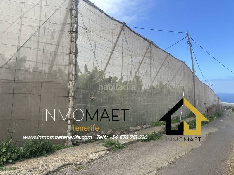 Foto 0e2f9006-2e86-49f7-82a9-5ea7ae0da009. Finca rústica a Buenavista del Norte