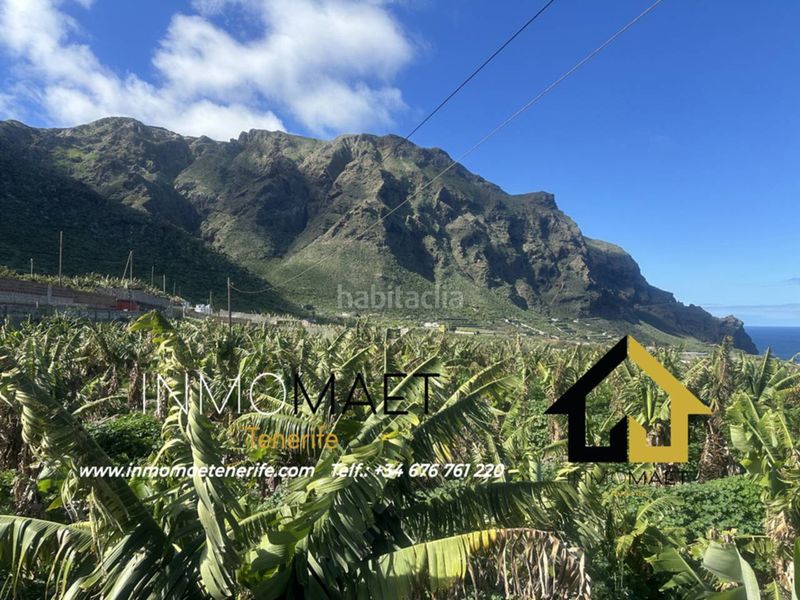 Foto 1d3dedab-729e-4949-8622-15d0c6ce06f5. Finca rústica a Buenavista del Norte