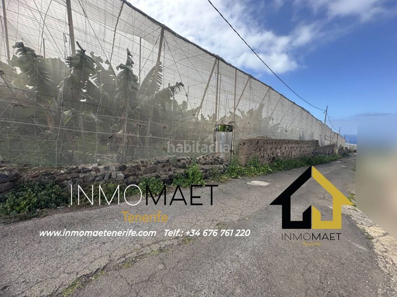 Foto 270ec048-d1f4-4e49-ba09-ad67187293ad. Finca rústica a Buenavista del Norte