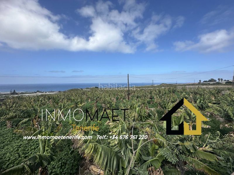 Foto 437e2b93-e6c7-46cc-b7a8-94908f3b50f6. Finca rústica a Buenavista del Norte