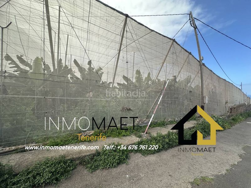 Foto 755ca0f3-3a07-464d-b032-46bc417bc3d5. Finca rústica a Buenavista del Norte