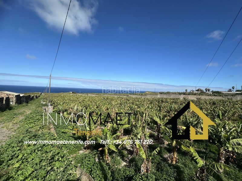 Foto 7c332619-4cac-4162-be96-6b03a741286f. Finca rústica a Buenavista del Norte