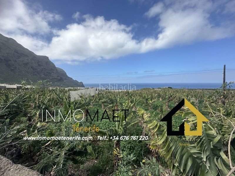 Foto e4de0cba-bf6a-47e7-8eea-6892aee8785e. Finca rústica a Buenavista del Norte