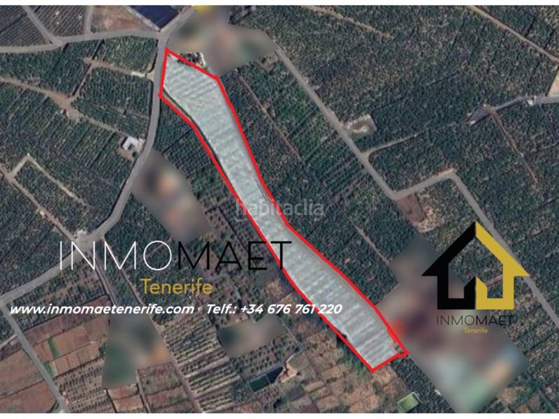 Foto e84c109f-c247-4853-8e98-893ce060b449. Finca rústica a Buenavista del Norte