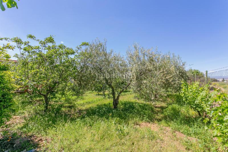 Foto 340204ac-3cb5-48fc-a686-b4e38271d49d. Terreno residenziale in Ogíjares