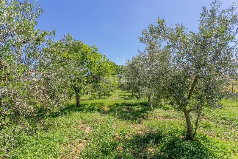 Foto 6ad4986e-6dac-4494-877a-6baa7e28838d. Terreno residenziale in Ogíjares