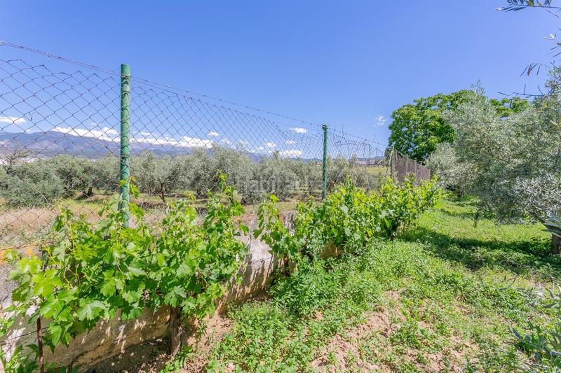 Foto 717c7156-c461-4558-be5a-b24d12fd5545. Terreno residenziale in Ogíjares