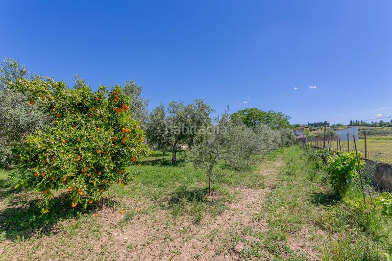 Foto 768d702c-53ba-4909-a039-ea1a53b14ea8. Terreno residenziale in Ogíjares