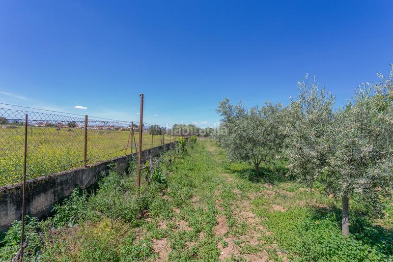 Foto a4231f07-2602-4844-8511-71d005e328a7. Terreno residenziale in Ogíjares