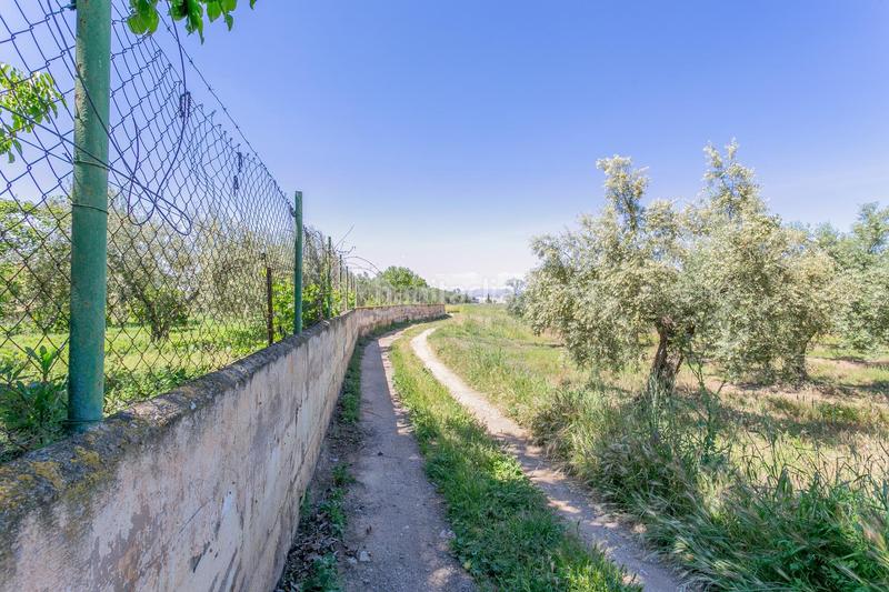 Foto b369299e-caaf-4e83-84a7-d3d8e6079bbe. Terreno residenziale in Ogíjares