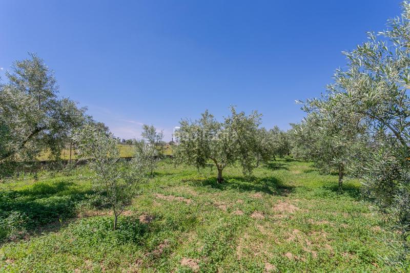 Foto dfb48ce7-aaf5-4938-b5bb-108e2b38a290. Terreno residenziale in Ogíjares