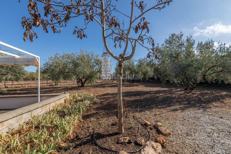 Foto 0ffca551-7e6f-4482-9b4b-6a50849ec878. Xalet amb aparcament a Moraleda de Zafayona